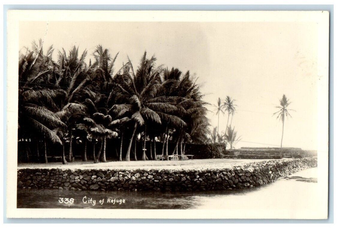 c1940's City Of Refuge Palm Tree View Hawaii HI RPPC Photo Unposted Postcard