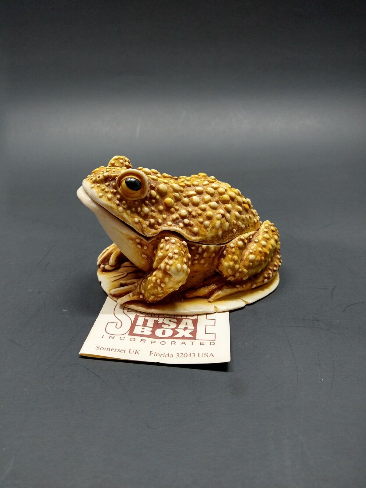 S.I.A.B.  Frog Toad Treasure Jests Trinket Box