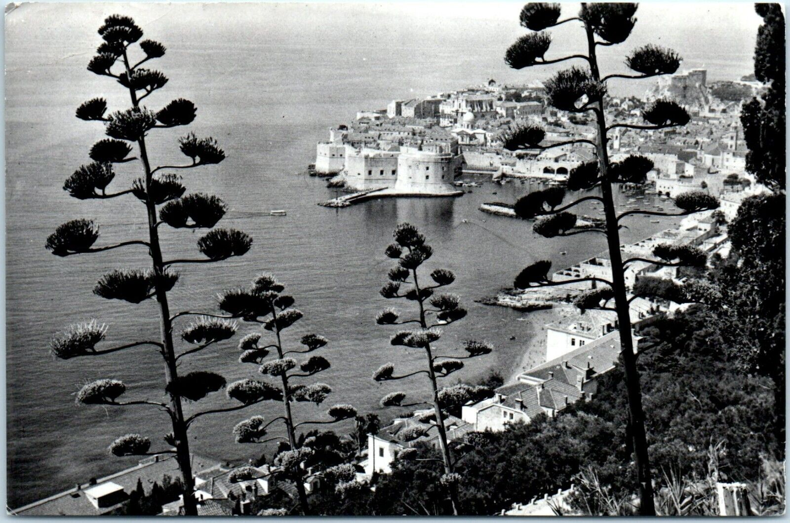 (RPPC) Aerial View of Dubrovnik, Croatia Postcard Dated 1964