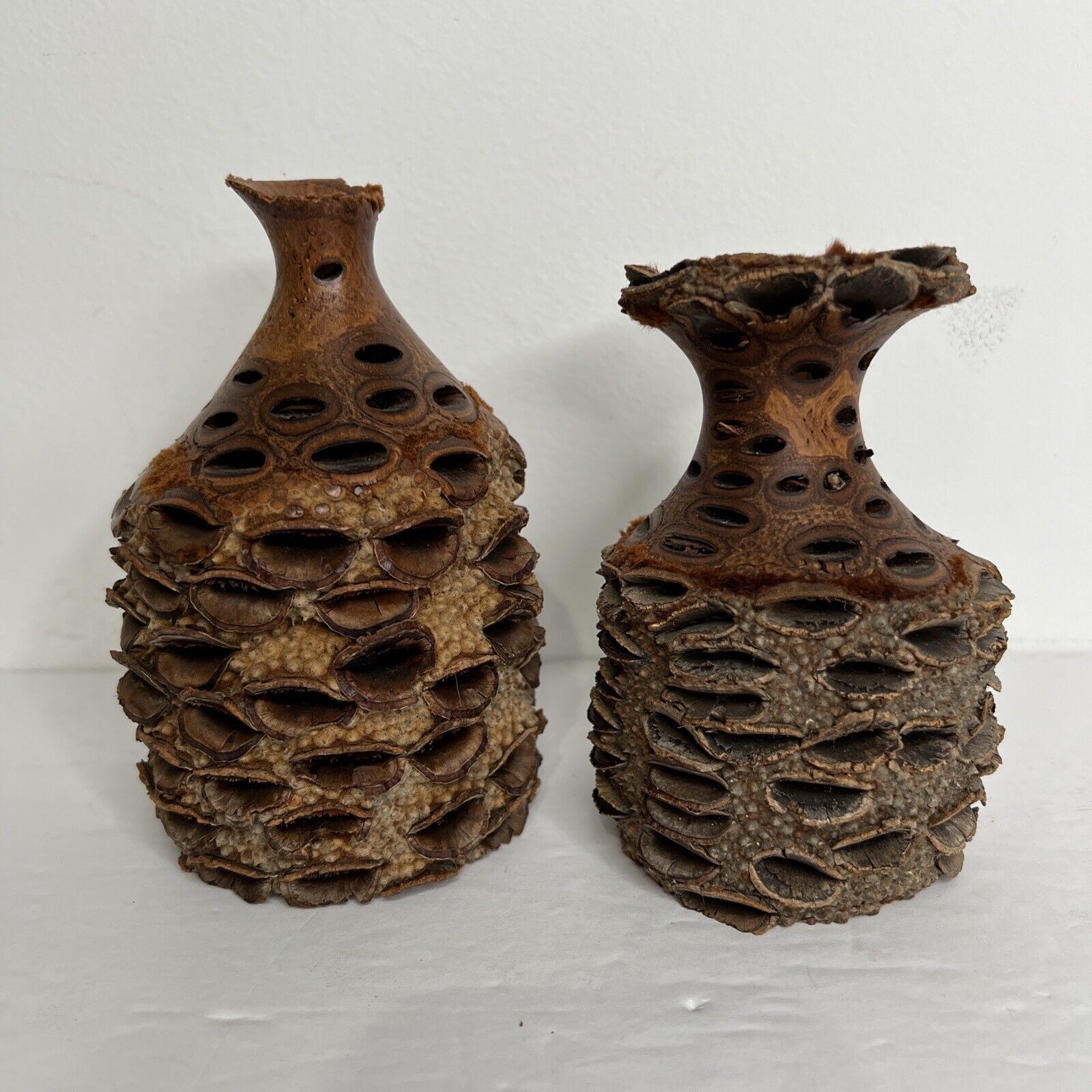 2 Turned Banksia Vase Seed Pod Wood Art Carved Natural Organic Shape Signed