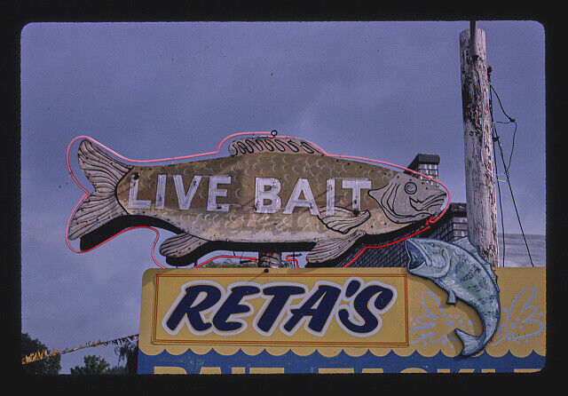 Photo:Rita's Live Bait sign,Route 13,Linwood,Michigan