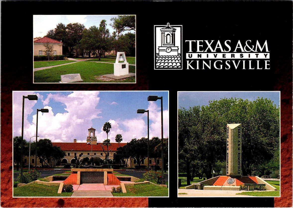 Kingsville, TX Texas  TEXAS A&M UNIVERSITY  Campus Scenes  4X6 Postcard