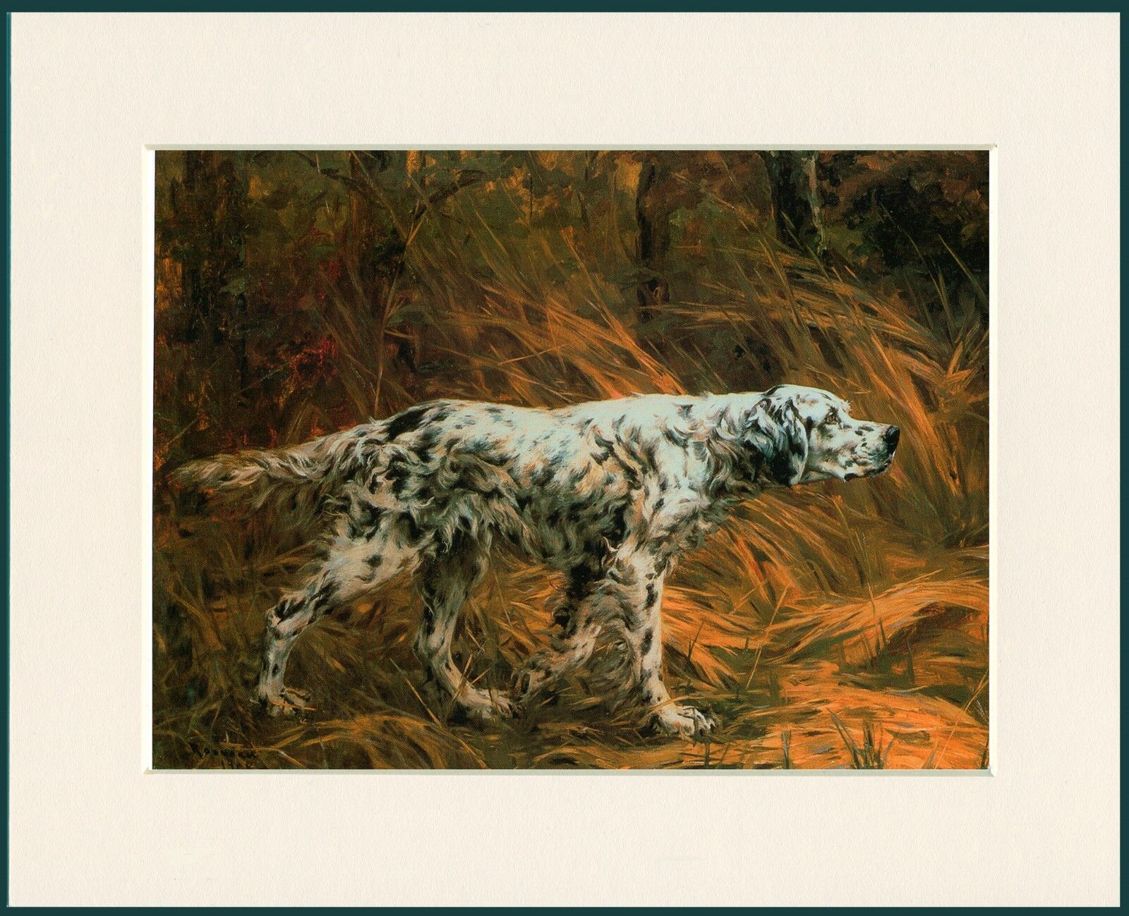 ENGLISH SETTER IN WOODS LOVELY DOG PRINT MOUNTED READY TO FRAME