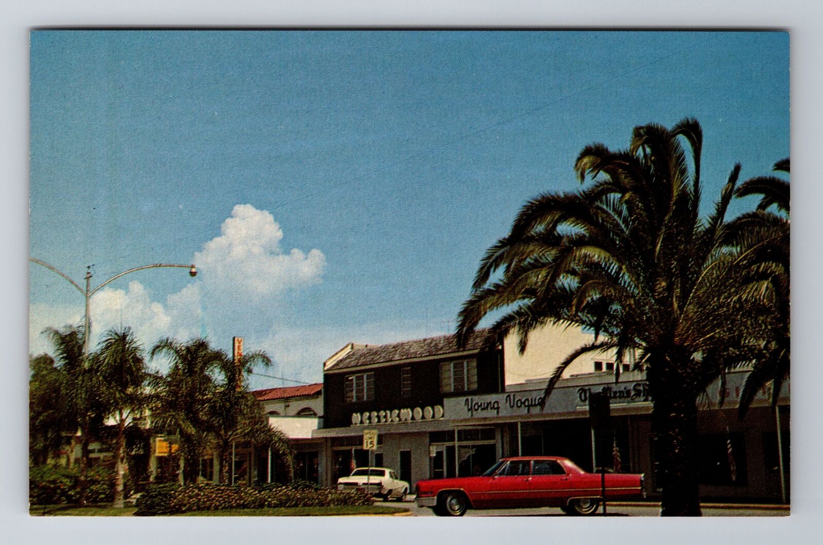 Venice FL-Florida, Downtown, Antique, Vintage Souvenir Postcard