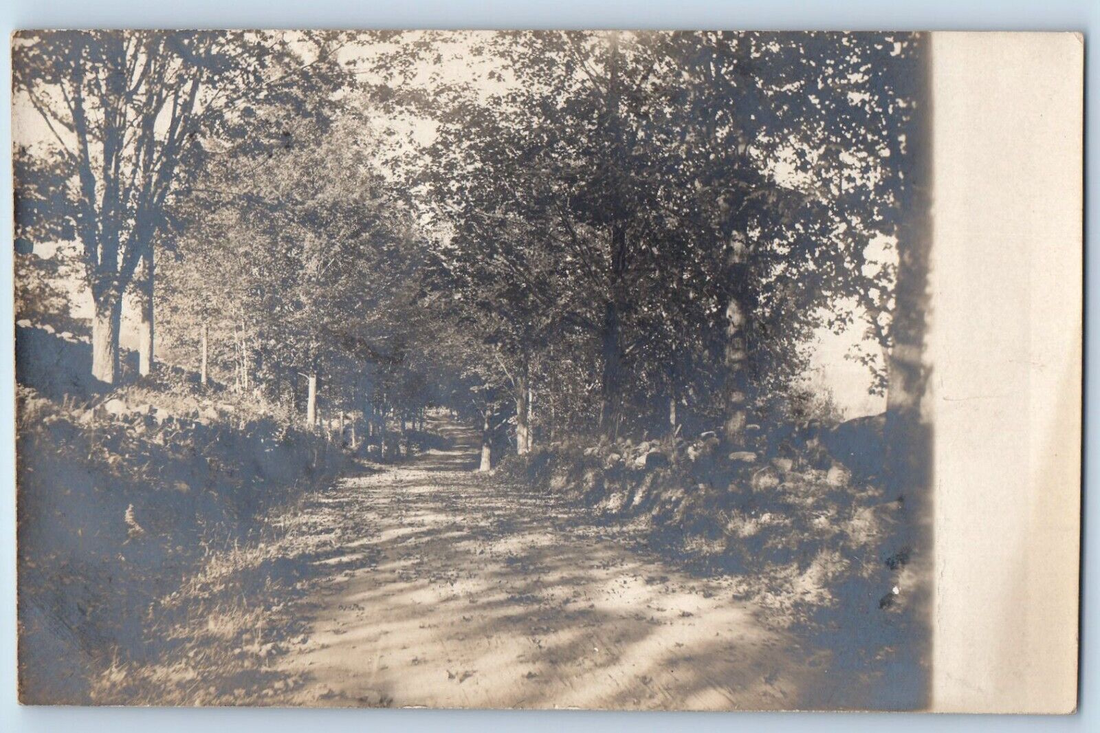 Antrim New Hampshire NH Postcard RPPC Photo Dirt Road And Trees 1910 Antique