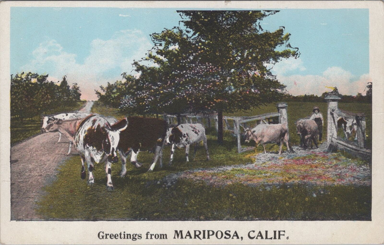 Greetings from Mariposa, California Postcard