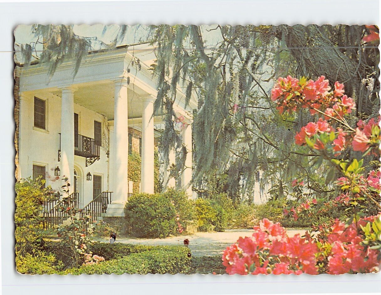 Postcard Boone Hall Plantation Mount Pleasant South Carolina USA