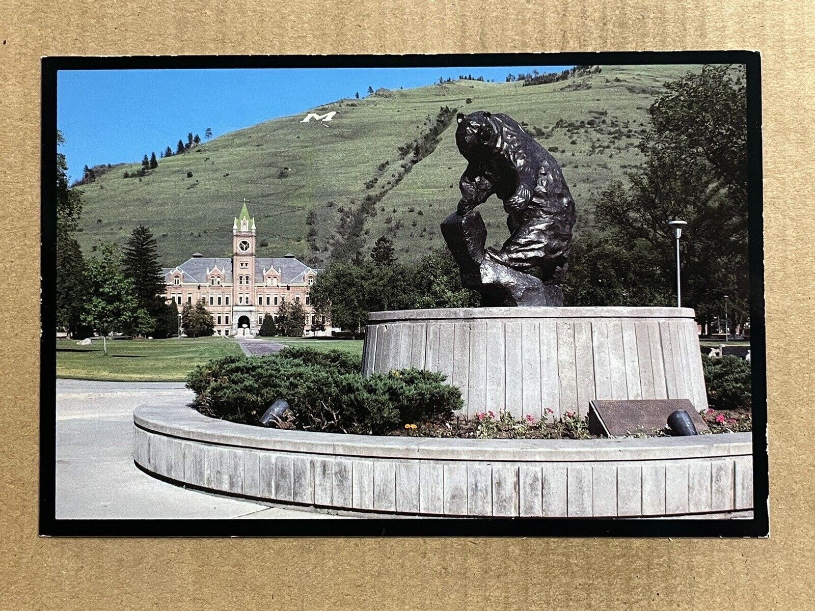 Postcard Missoula MT University of Montana Campus Grizzly Bear Statue Vintage PC