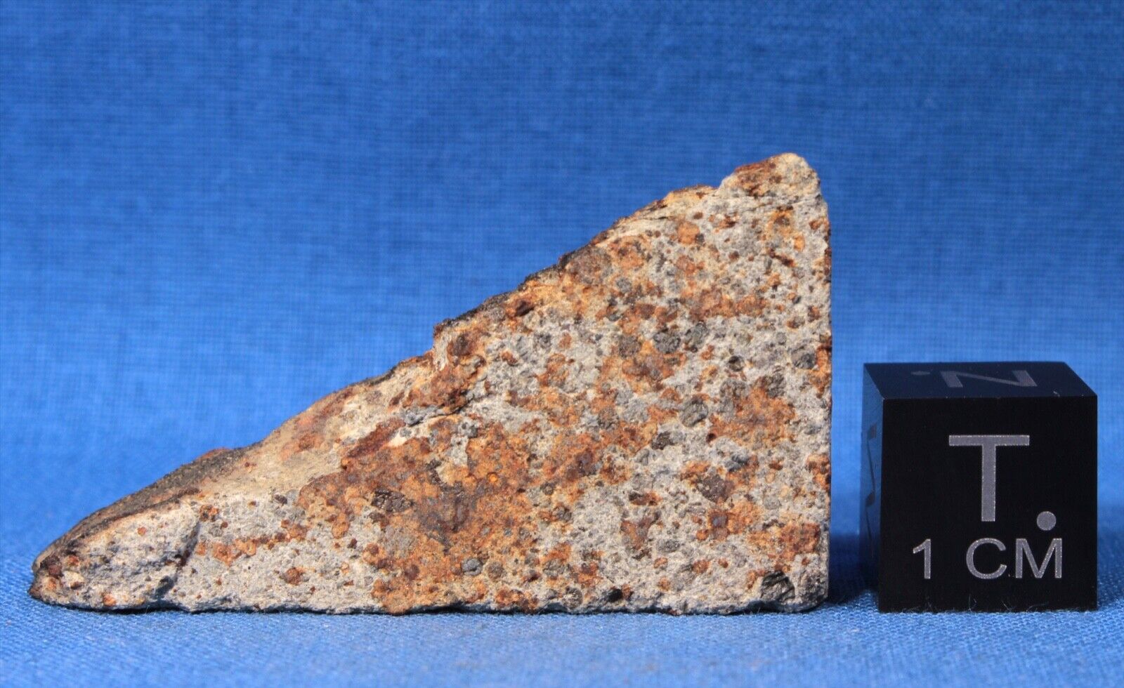 12.7 gram Holbrook Meteorite Slice - LL6 Chondrite - Observed Fall 1912 Arizona