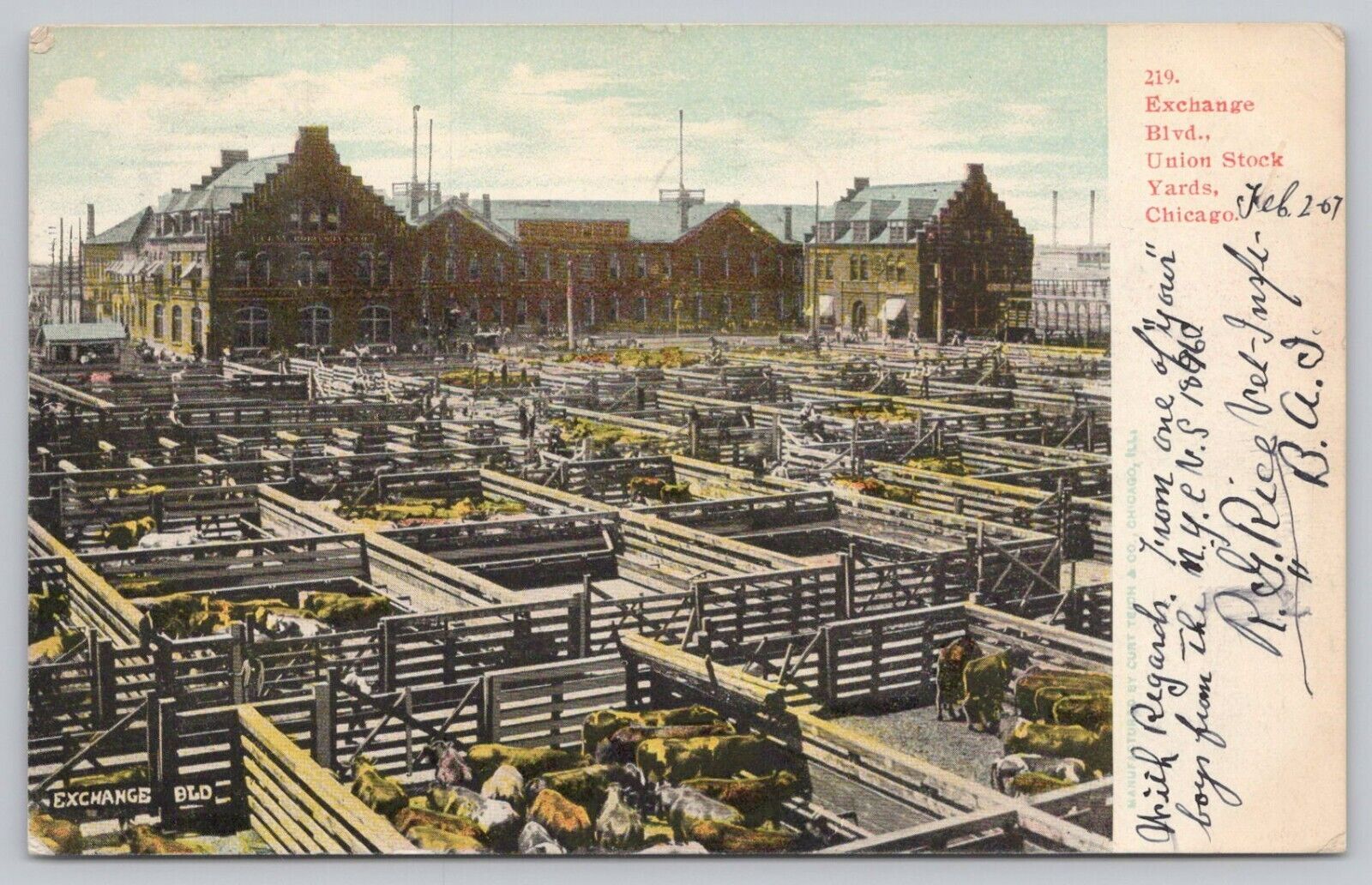Postcard Exchange Blvd. Union Stock Yards, Chicago Illinois, Posted 1907