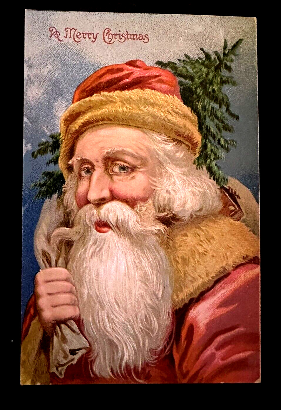 Full Face~Old World Santa Claus with Tree~Toy Sack~1910~Christmas Postcard~h865