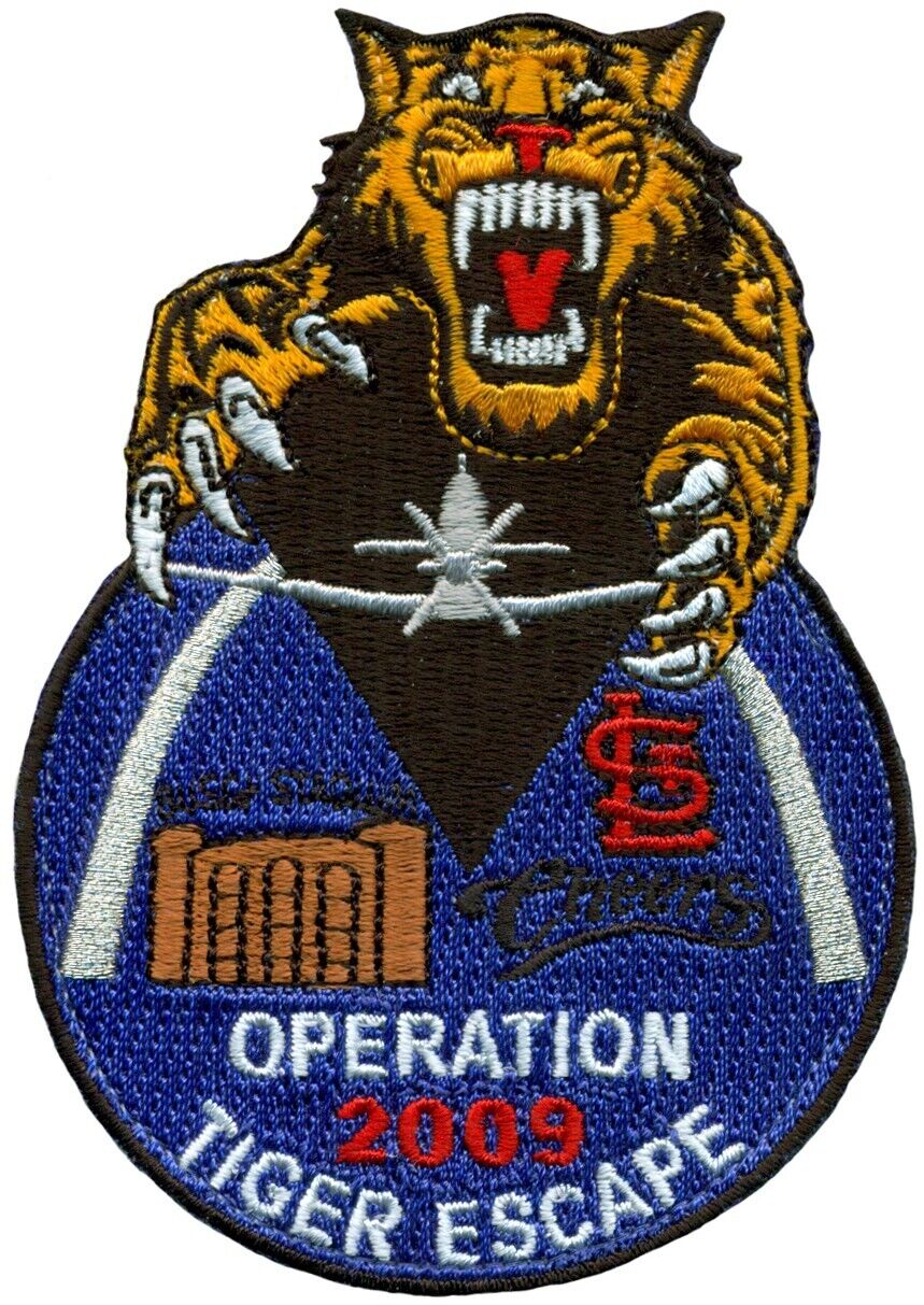 USAF 37th FLYING TRAINING SQUADRON PATCH - OPERATION TIGER ESCAPE 2009