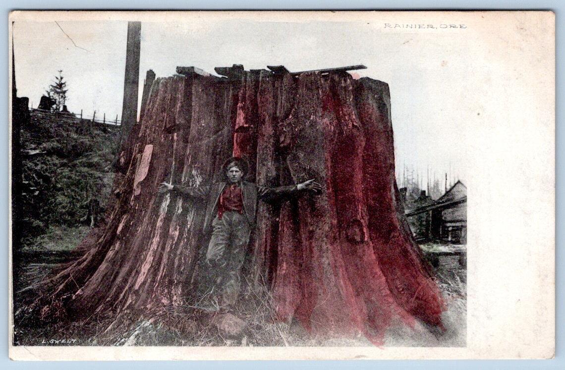 1907 LOGGER AGAINST HUGE TREE STUMP RAINIER OREGON L SWELT HANDCOLORED POSTCARD