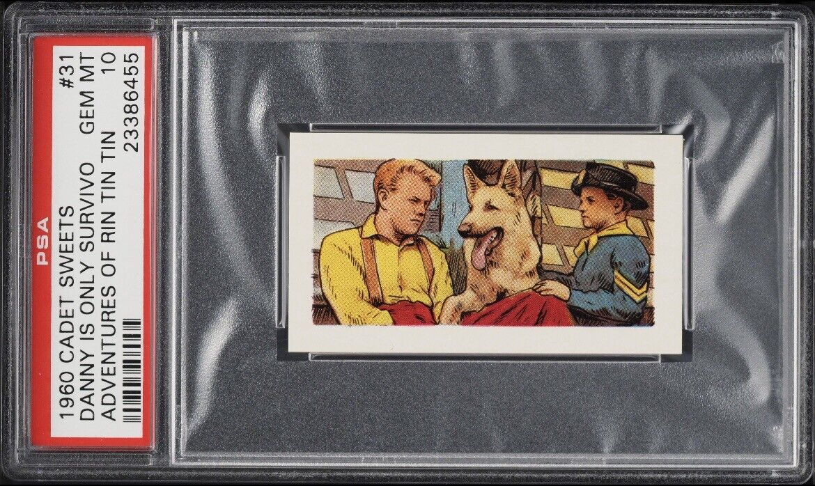 1960 Cadet Sweets Adventures Of Rin Tin Tin Danny Is Only Survivor PSA 10 POP 4
