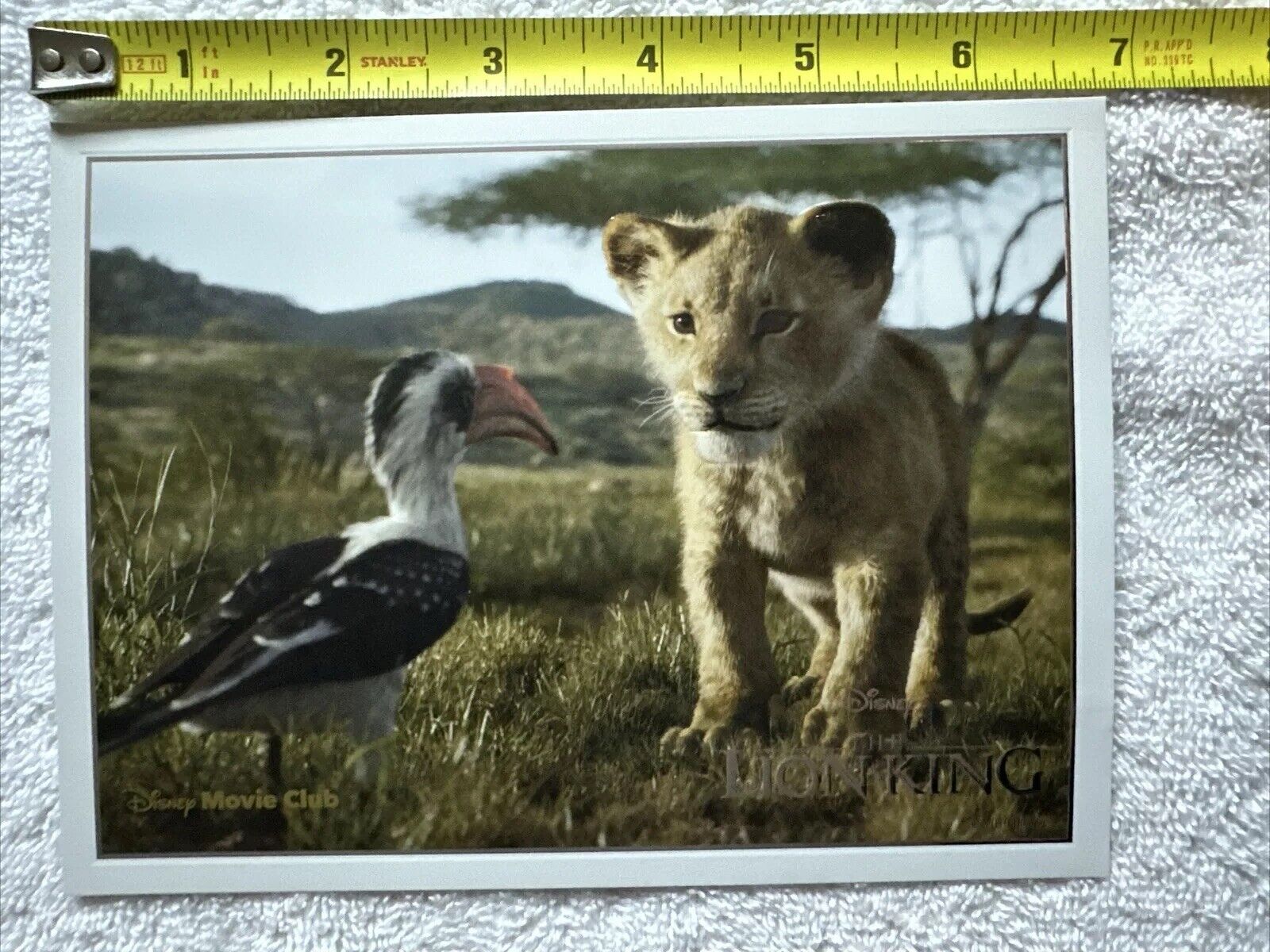 The Lion King Lithograph Disney Movie Club Exclusive 5x7