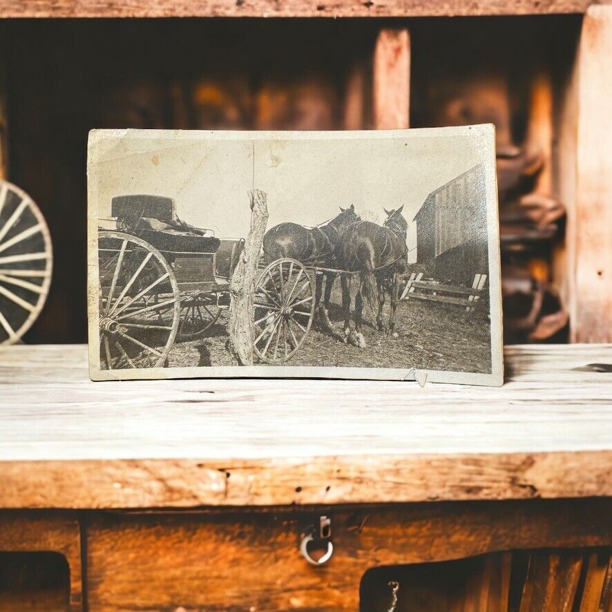 Antique Early 1900s Photo of Horse-Drawn Carriage \