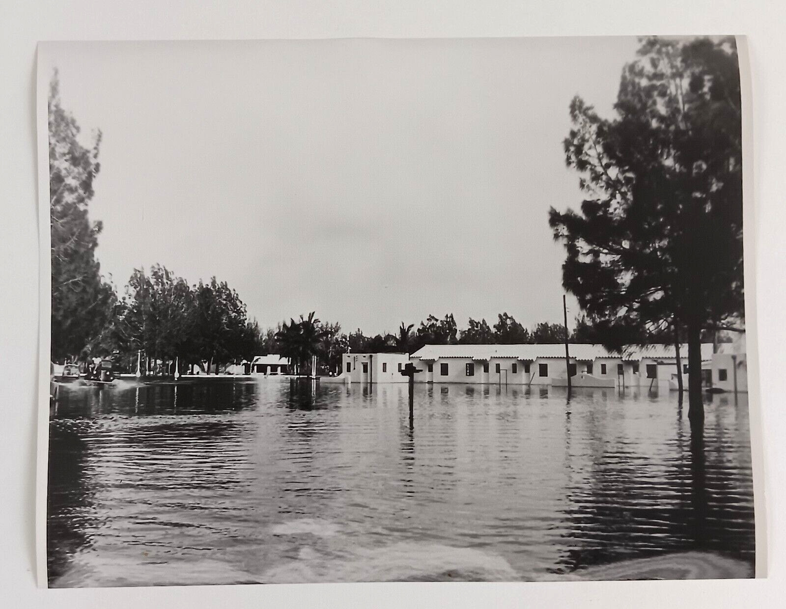 1947 Miami Florida Hotel Apartment Flooding Vintage Press Photo Flood Waters