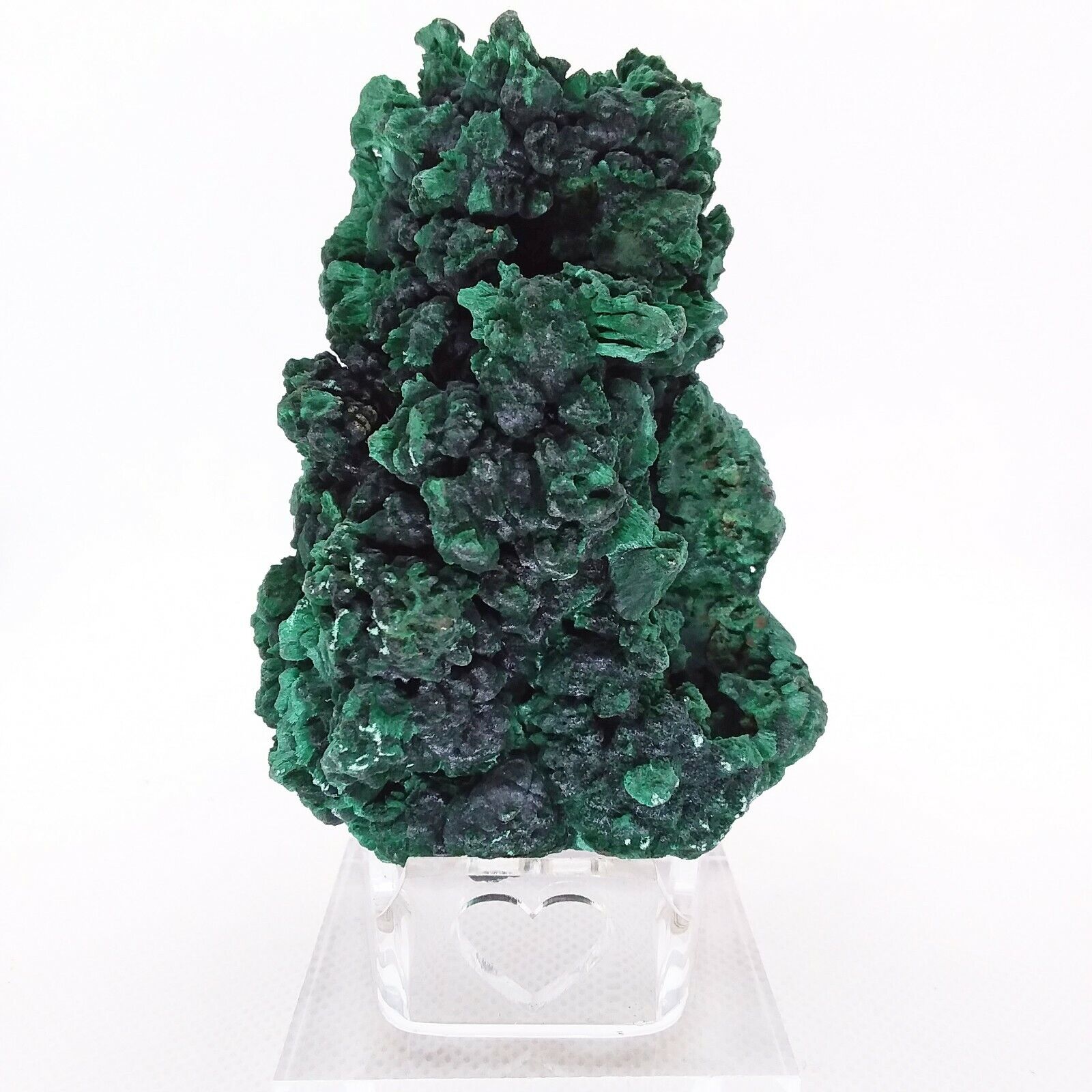 Malachite, fibrous, plumes, natural, specimen, display, mineral, green, #R-2597