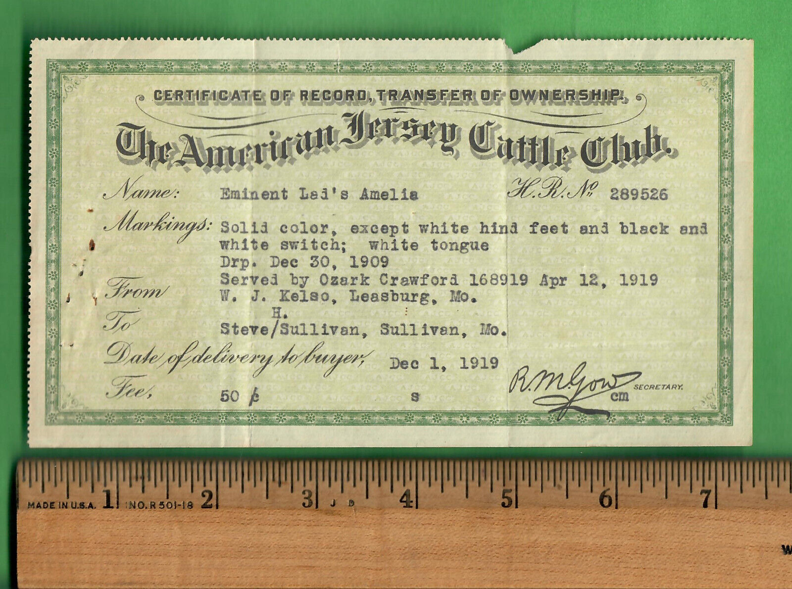 1919 THE AMERICAN JERSEY CATTLE CLUB - COW PEDIGREE CERTIFICATE 4.25