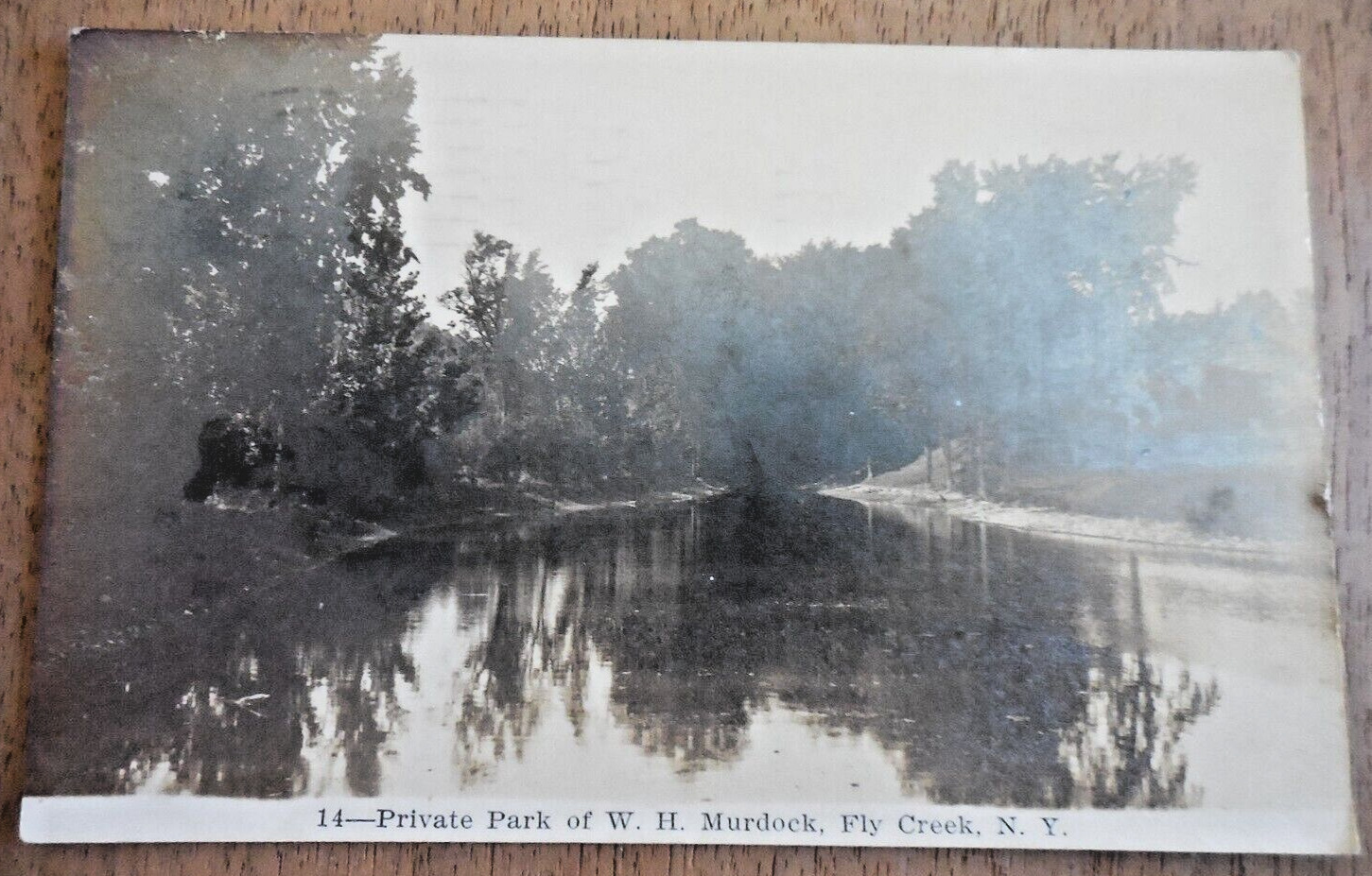 Fly Creek New York Private Park W.H. Murdock Real Photo Postcard RPPC 1912