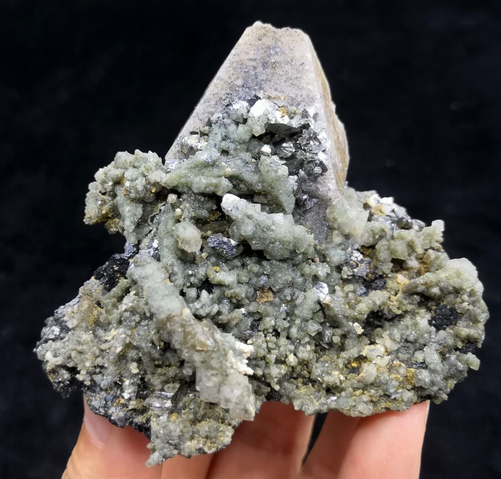 71mm Arsenopyrite on BIG Scheelite with Quartz from Inner Mongolia CMM2371286