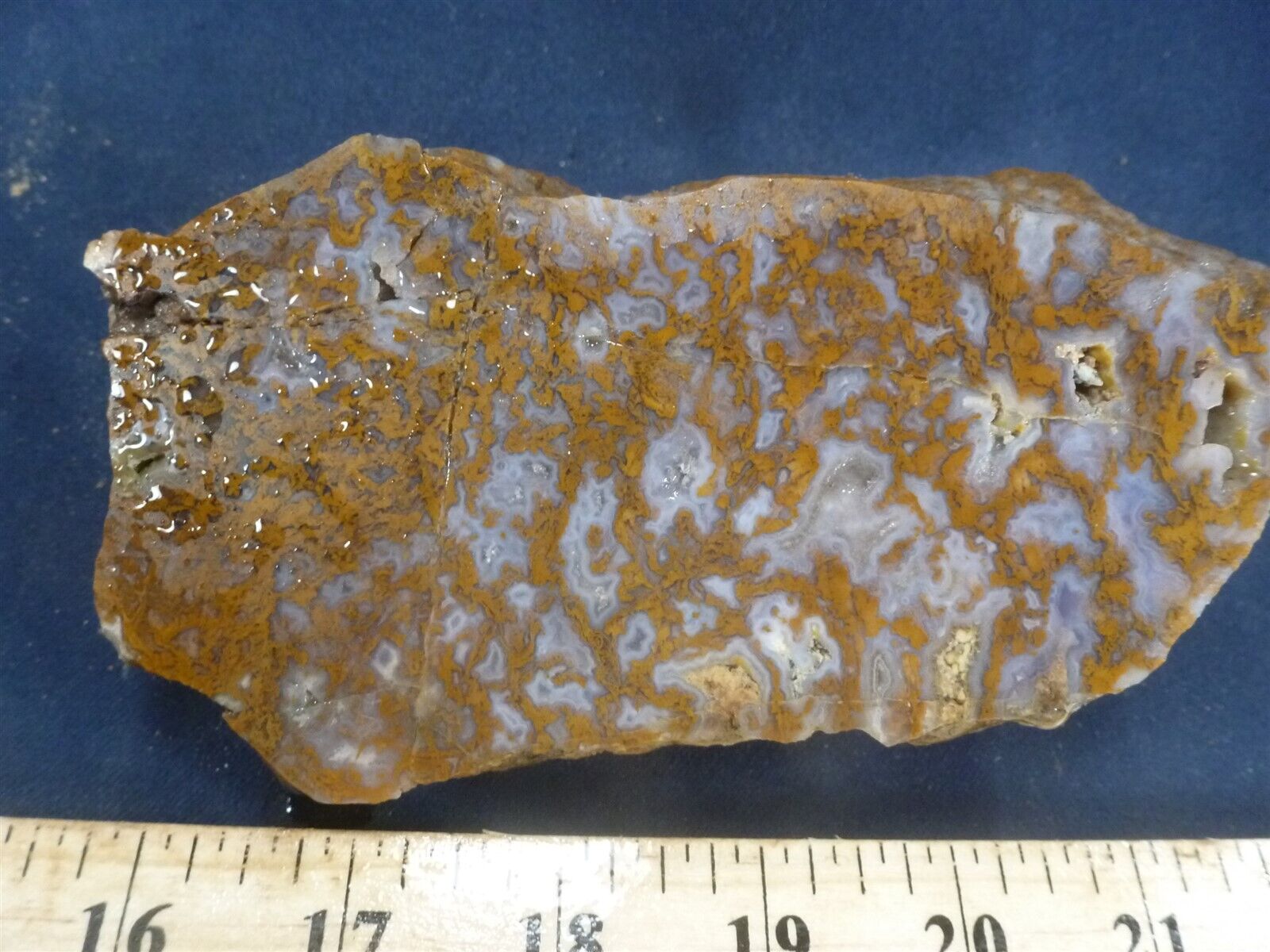 CSS: 1.14 lb Piece Of La Riviera Plume Agate Rough Rock