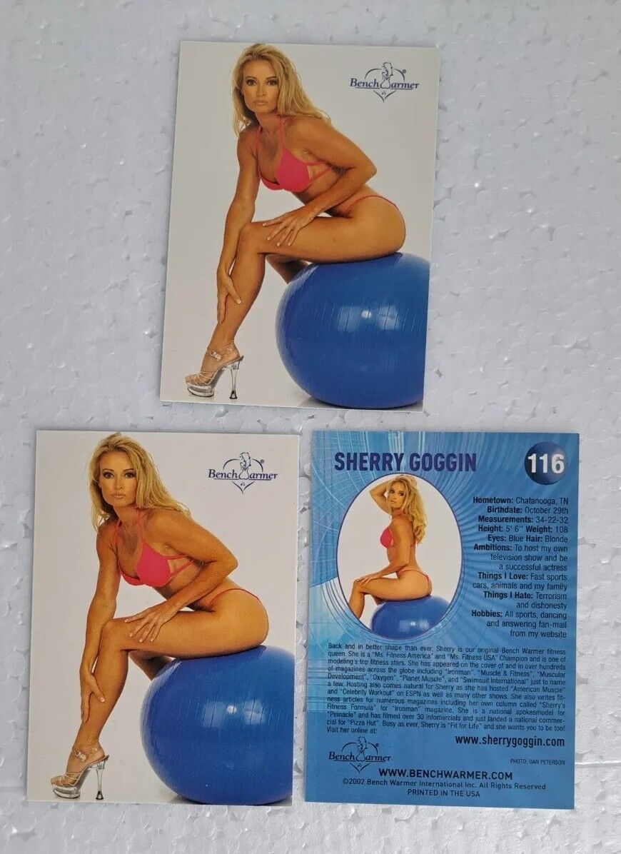 3 x SHERRY GOGGIN  2002 BENCH WARMER VERY SEXY & HOT Trading Card #116