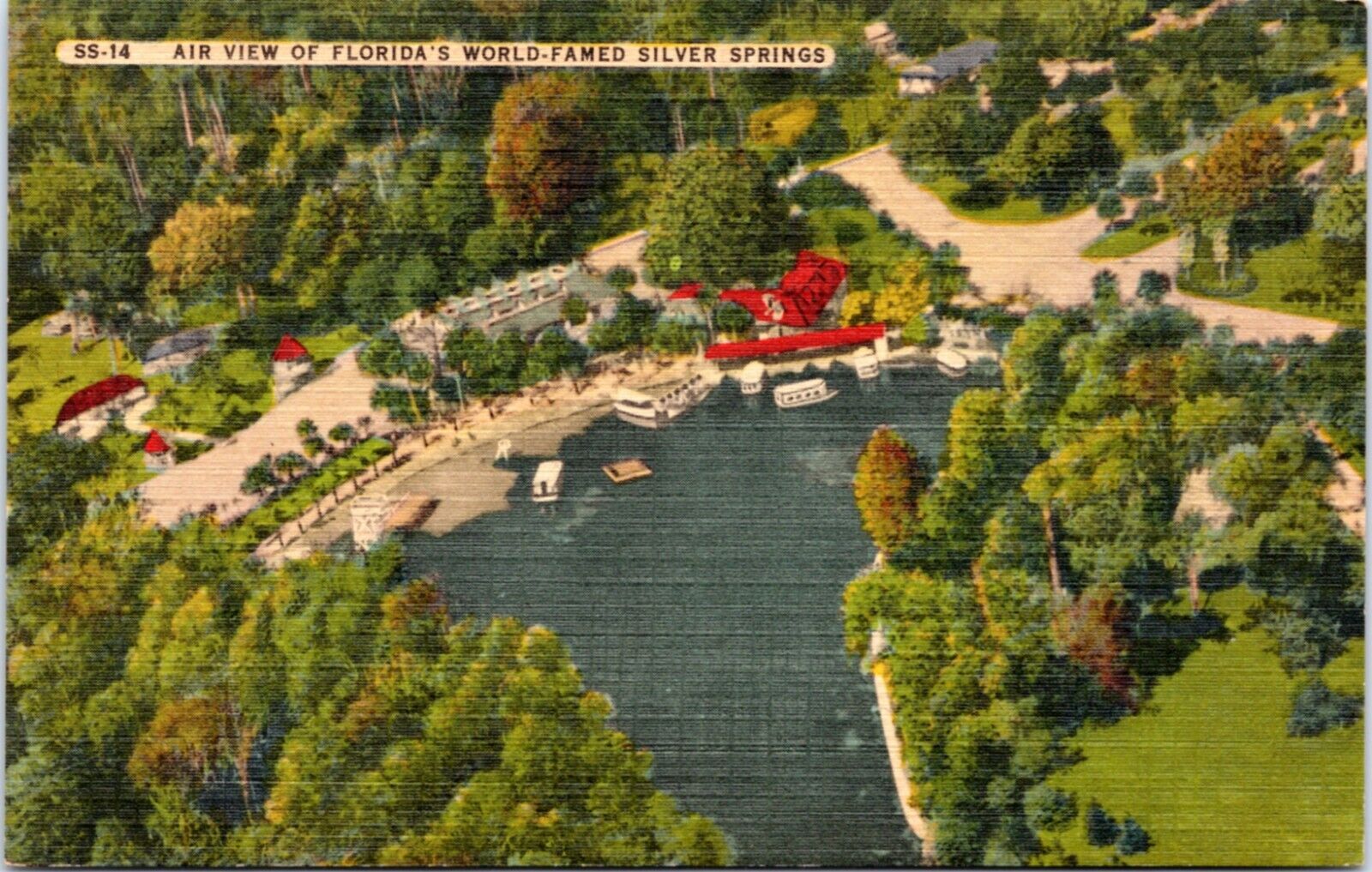 Postcard FL Silver Springs aerial view