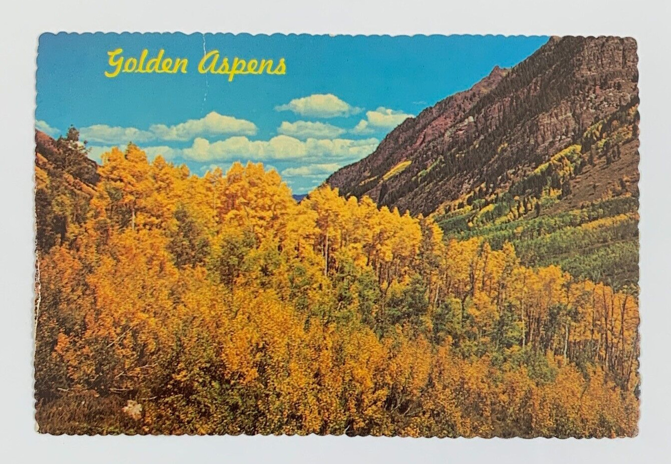 Valley of Golden Aspens Trees Autumn in Colorado Rocky Mountains Postcard