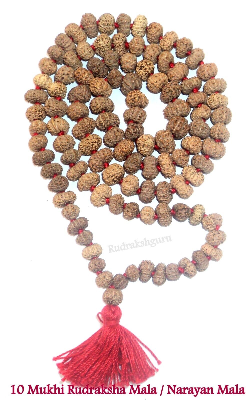 Rare 10 Mukhi Rudraksha / Narayan Mala - 109 beads