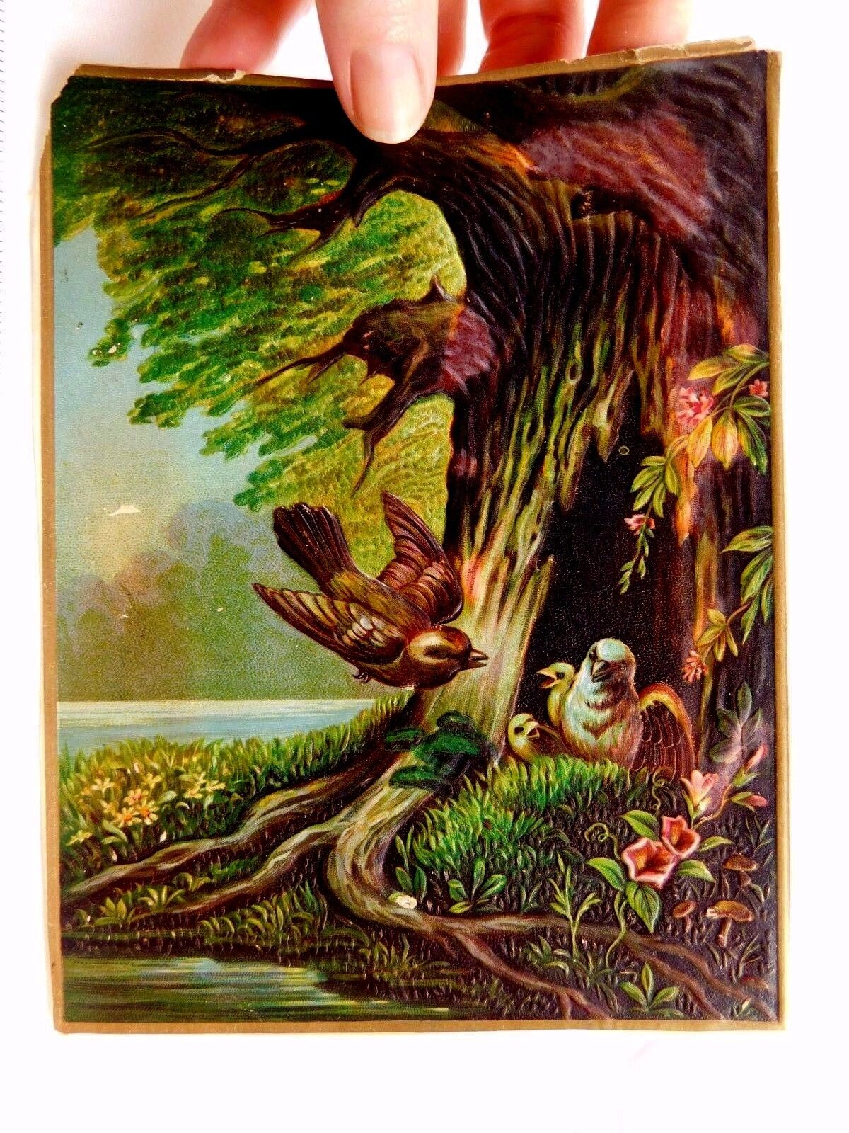 1870s-1880s Embossed Victorian Trade Card Moonlit Night Forest Birds Tree #B