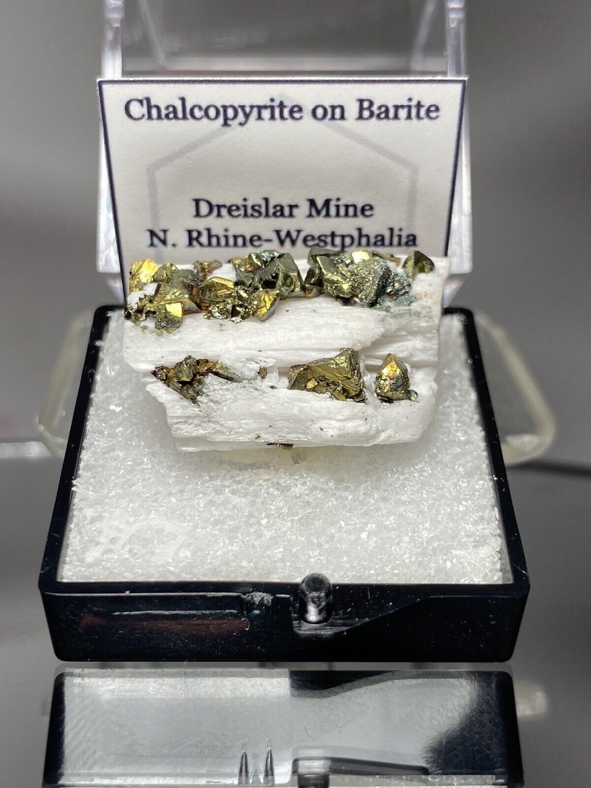 Aesthetic Chalcopyrite on Barite Thumbnail Mineral - Dreislar Mine, Germany