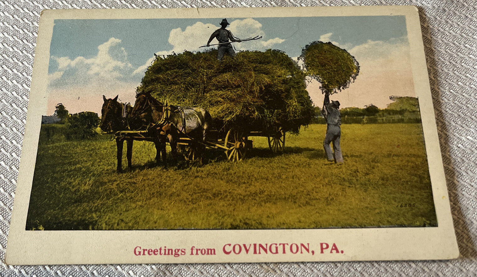 Antique GREETINGS FROM Covington , PA. POST CARD. Farming Animals Hay Original