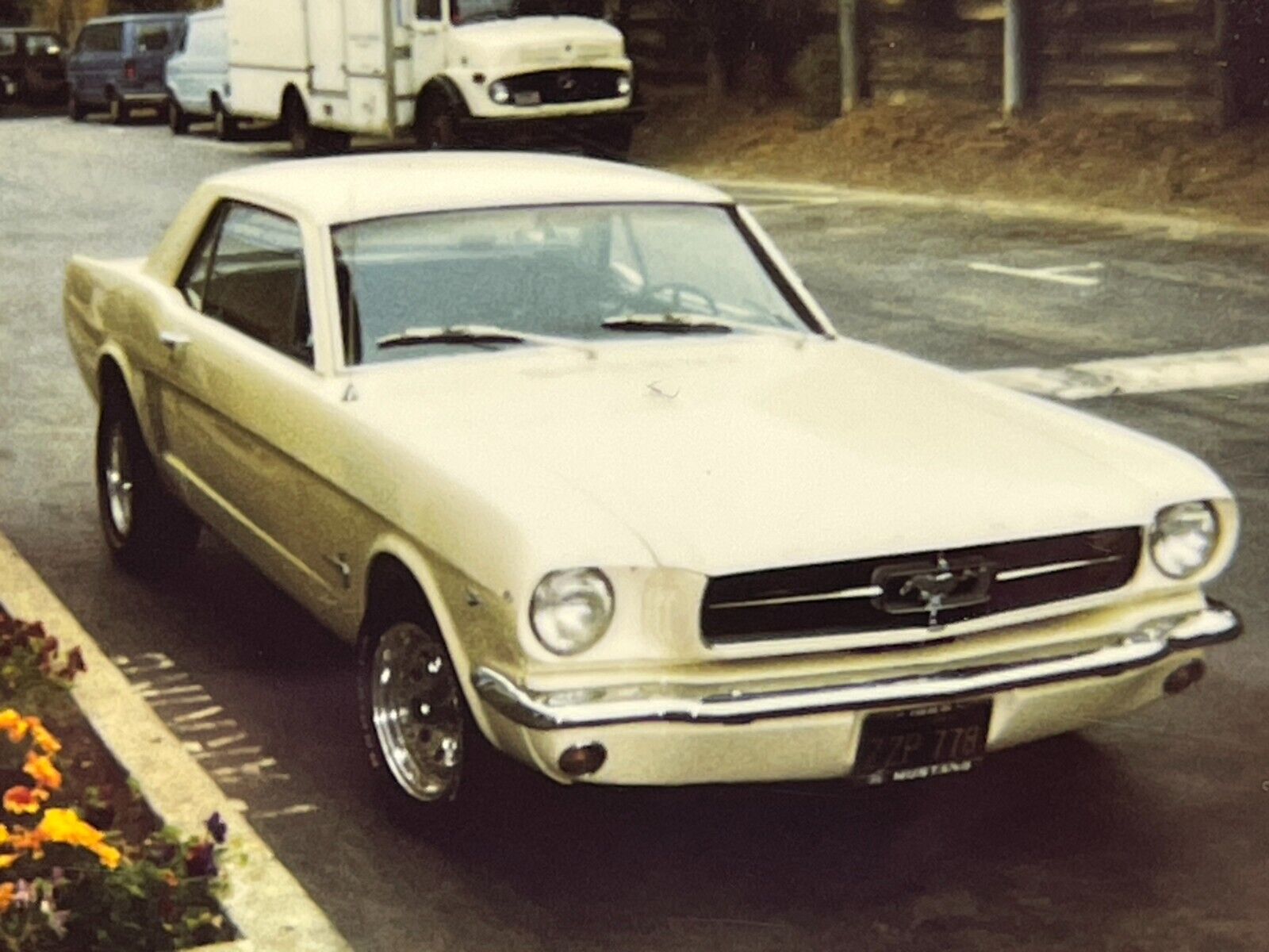 CCJ 2 Photographs From 1998\'s Polaroid Artistic Of A 1965 Ford Mustang