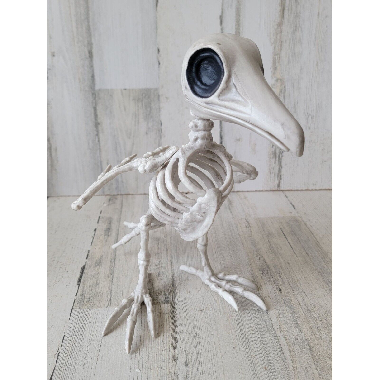 Crazy bonez skeleton bird dodo crow Halloween prop decor