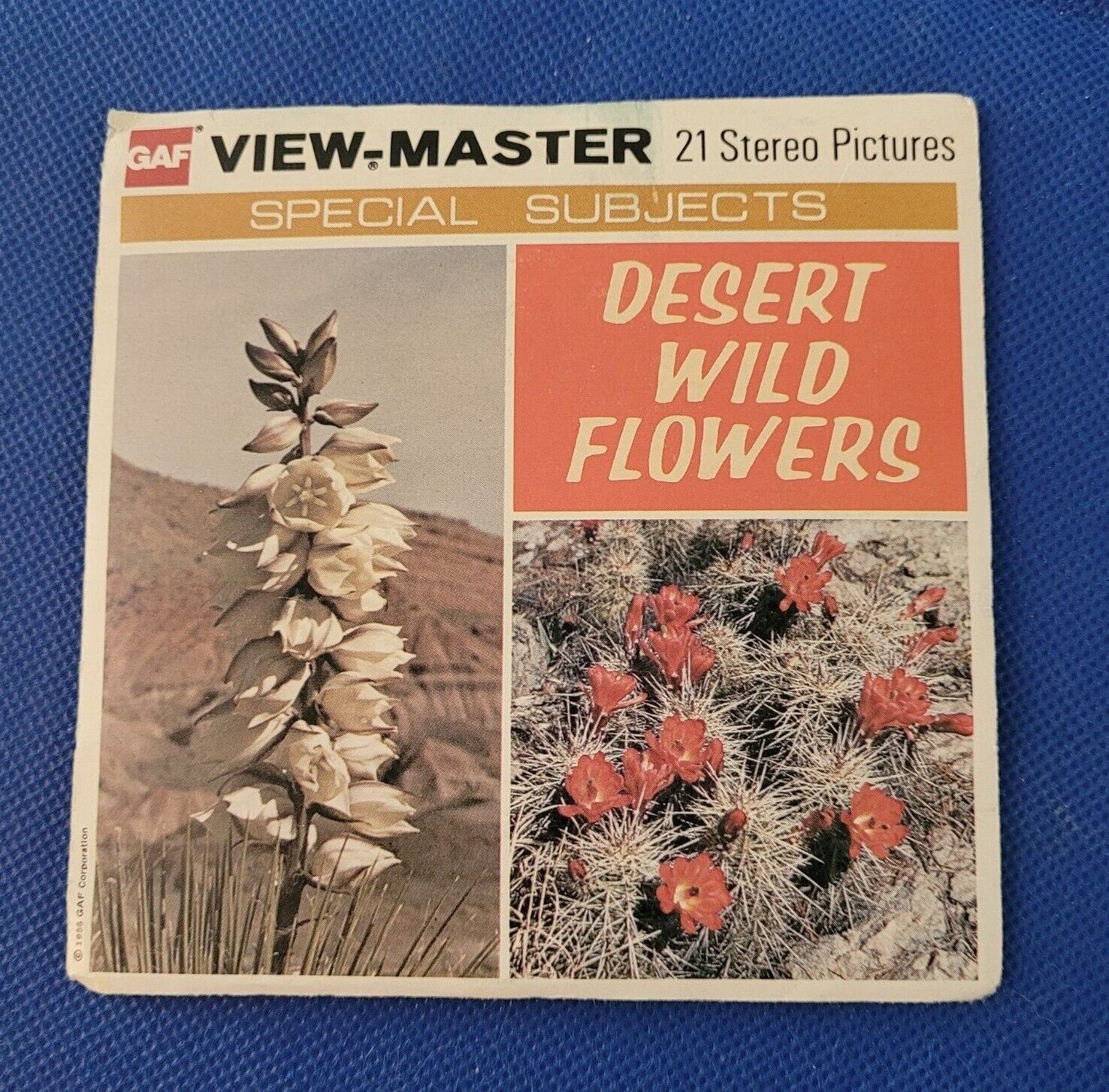 COLOR Gaf Special Subjects B629 Desert Wild Flowers view-master 3 Reels Packet