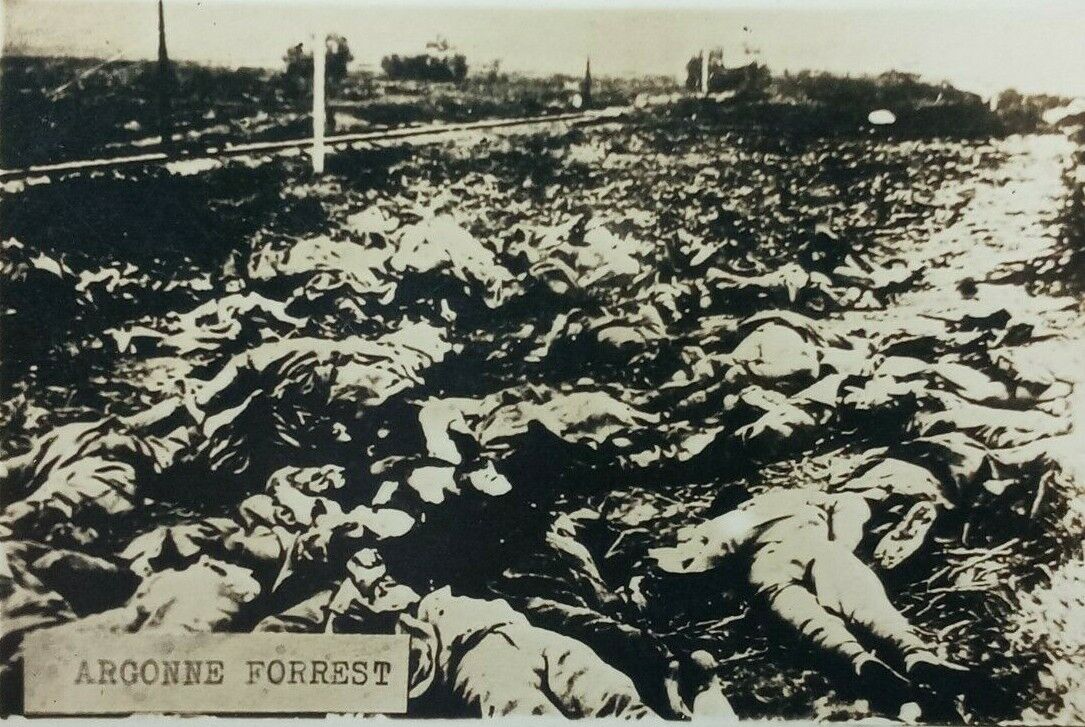 WWI Argonne Forest Battle Aftermath Dead Soldiers Disturbing Death RPPC c1918