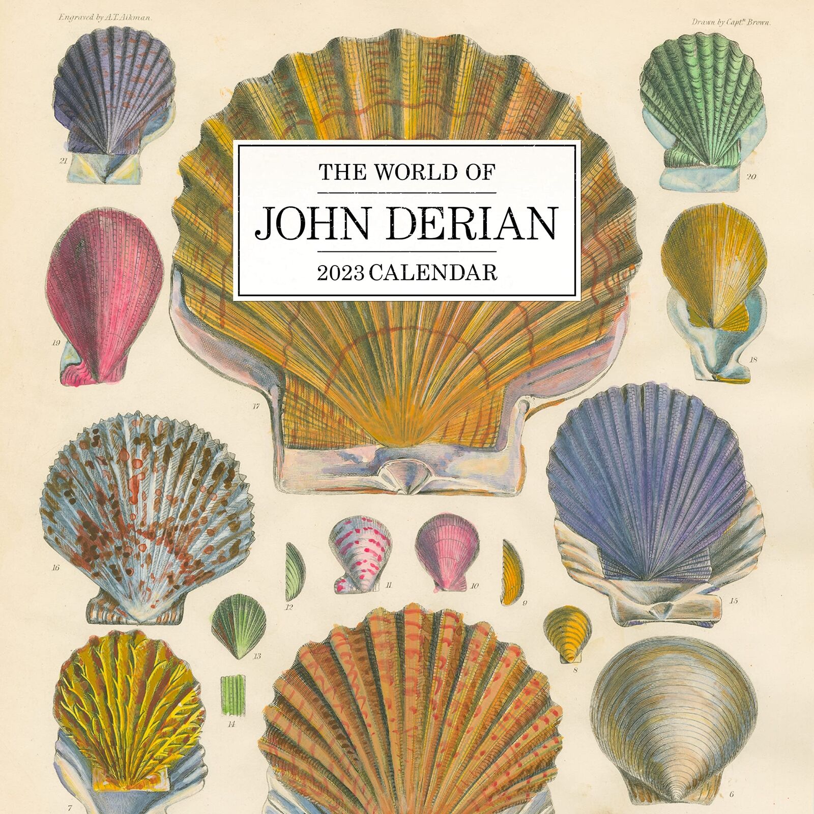 THE WORLD OF JOHN DERIAN - 2023 WALL CALENDAR - BRAND NEW - 101633