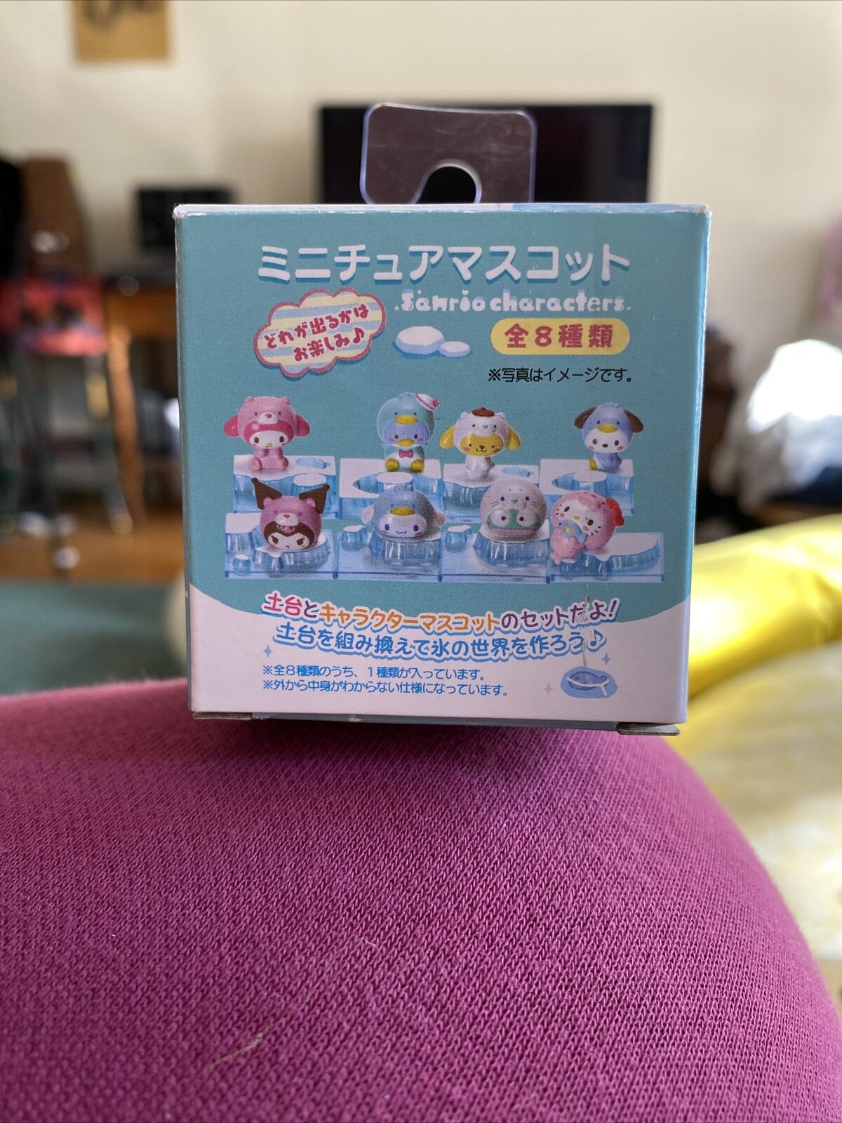 Japanese Sanrio Memorabilia Mascot Blind Box - Arctic Animals - Hello Kitty