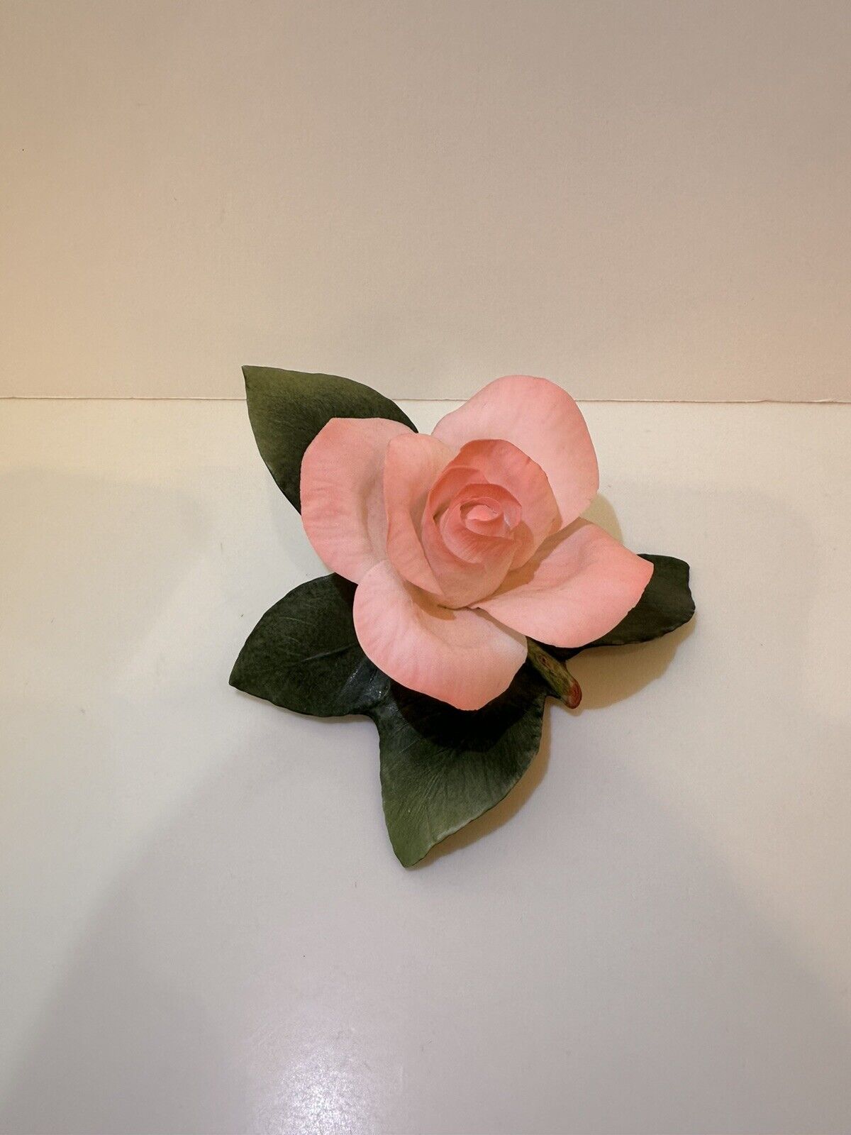 Bohem True Love Pink Porcelain Rose F361 Green Leaves