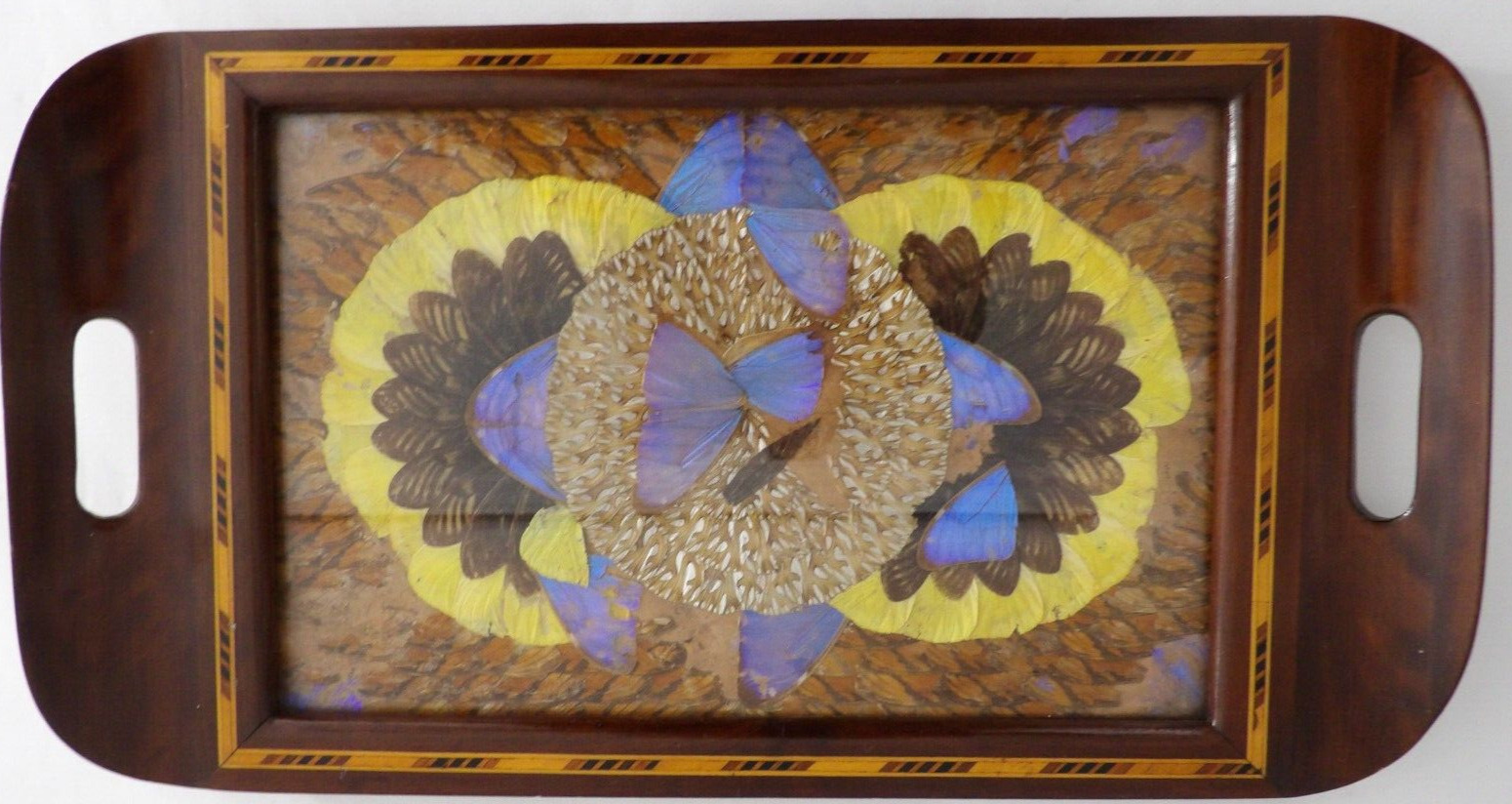 Vintage MCM Brazilian Inlaid Wood Tray Butterfly Wings Under Glass 1960s