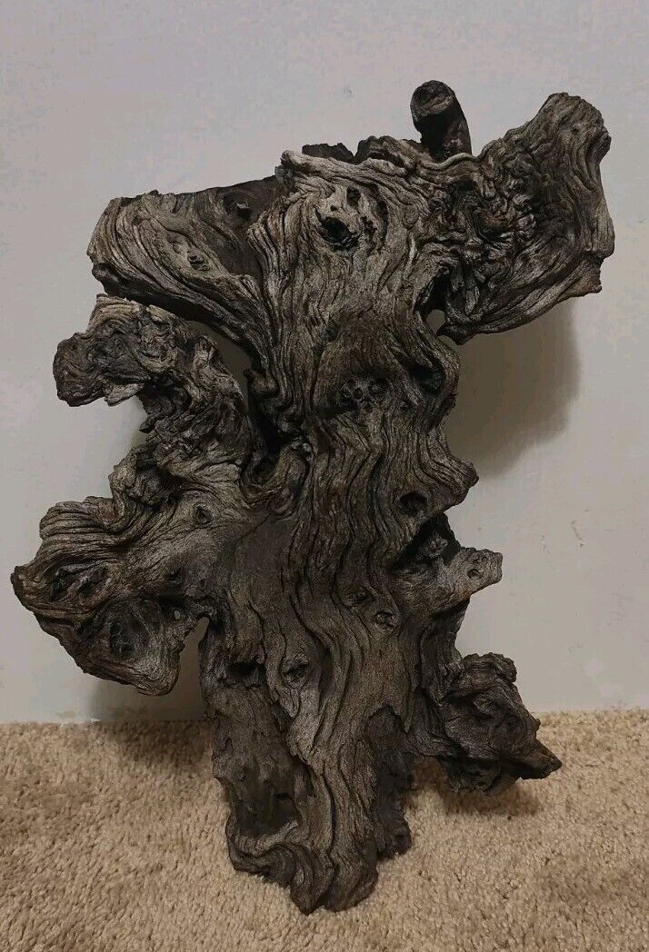 Petrified Wood \'Log\'-Startlingly Beautiful-Intricate Swirls-SEE Description 