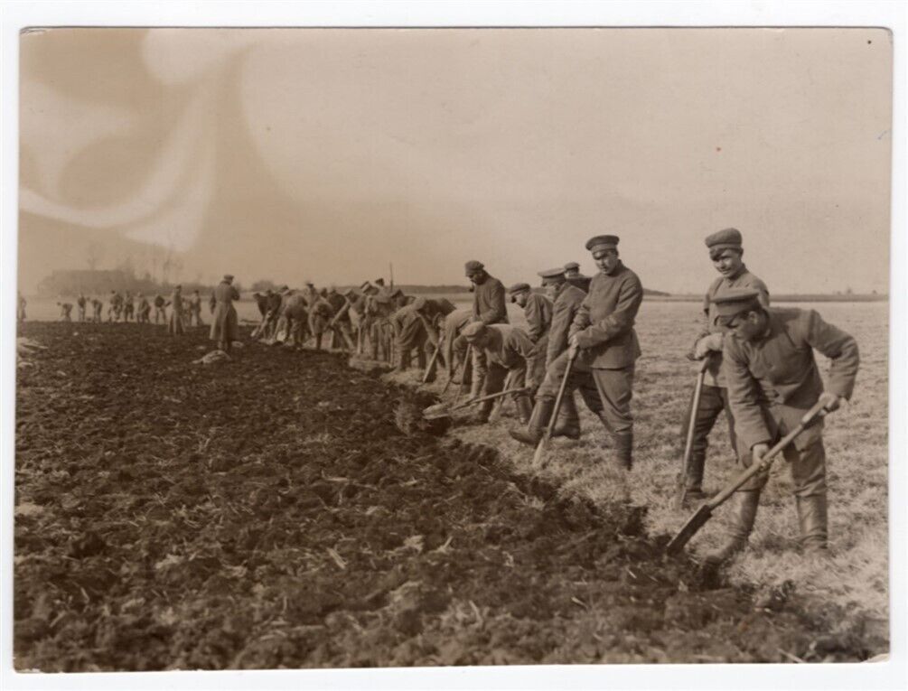 1915 Captured Russian POWs Put to Work Digging Trenches or Farming? News Photo