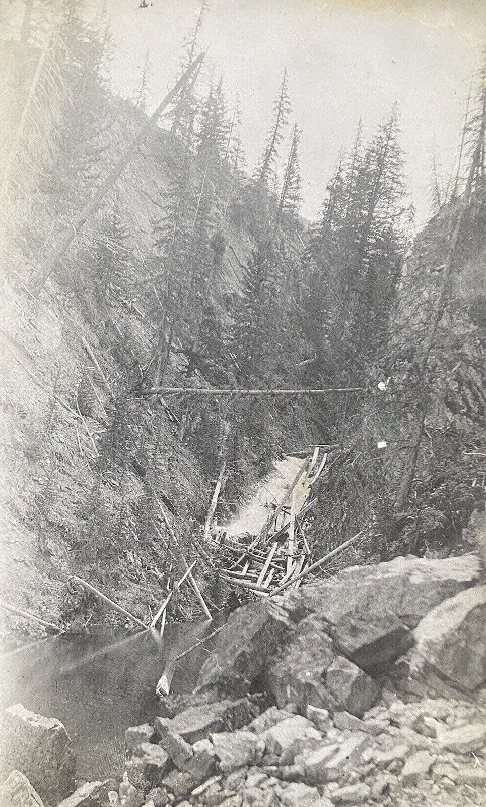 Fallen Trees Rushing Water Through Hills & River Rocks Antique RPPC Photo