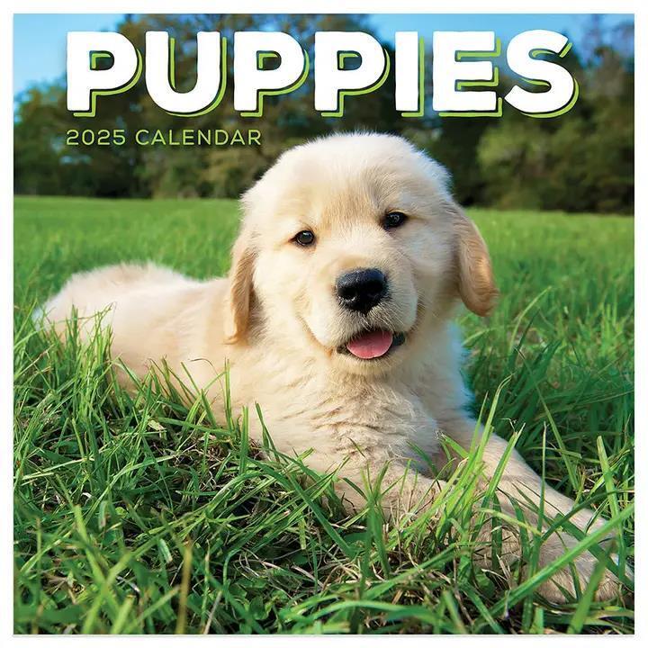 TF Publishing 2025 Puppies Mini Calendar w
