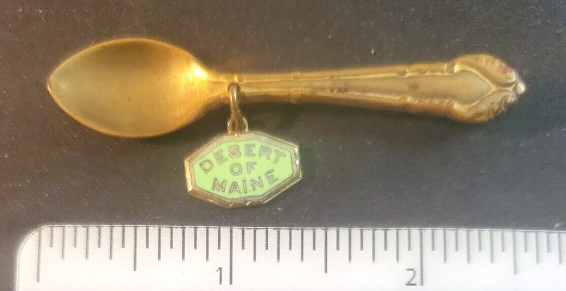 Souvenir Desert of Maine Lapel Pin With Dangle Travel in the USA W20 L08
