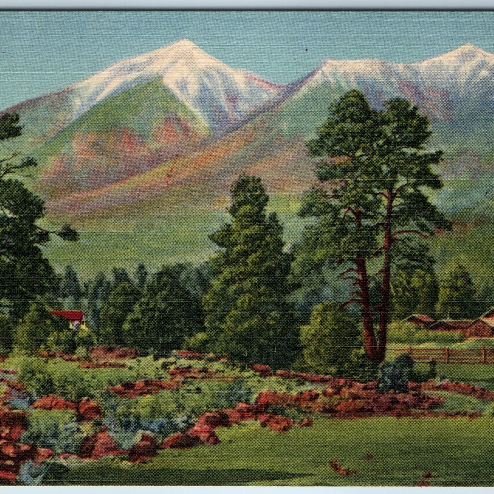 c1910s Flagstaff, AZ San Francisco Peaks Navajo Reservation Nice Linen Card A220