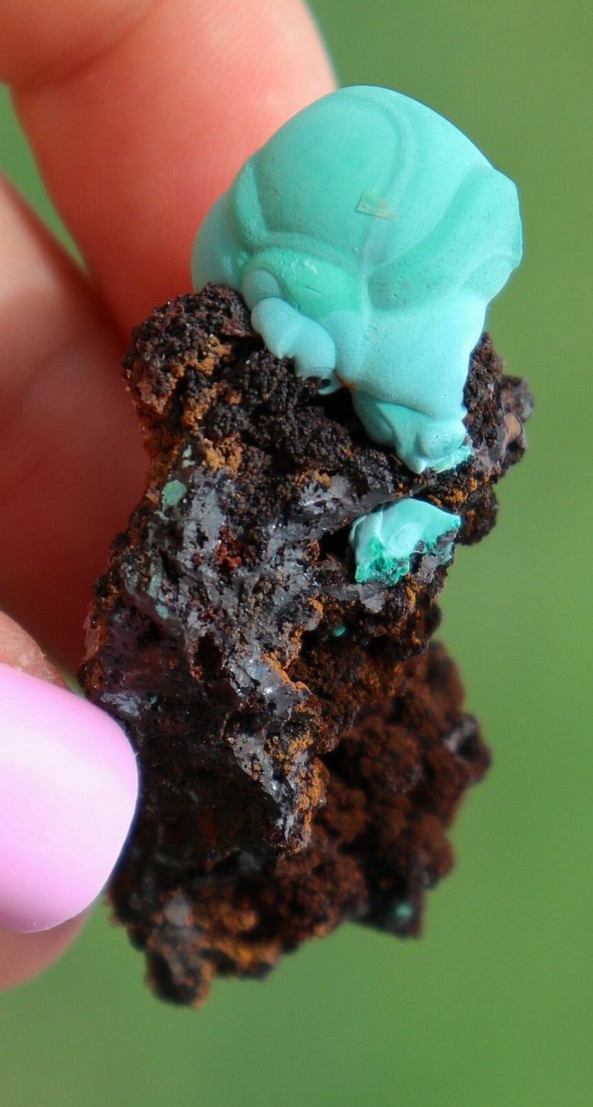 Rosasite On Malachite On Matrix, Electric Teal Blue Color,  Mexico