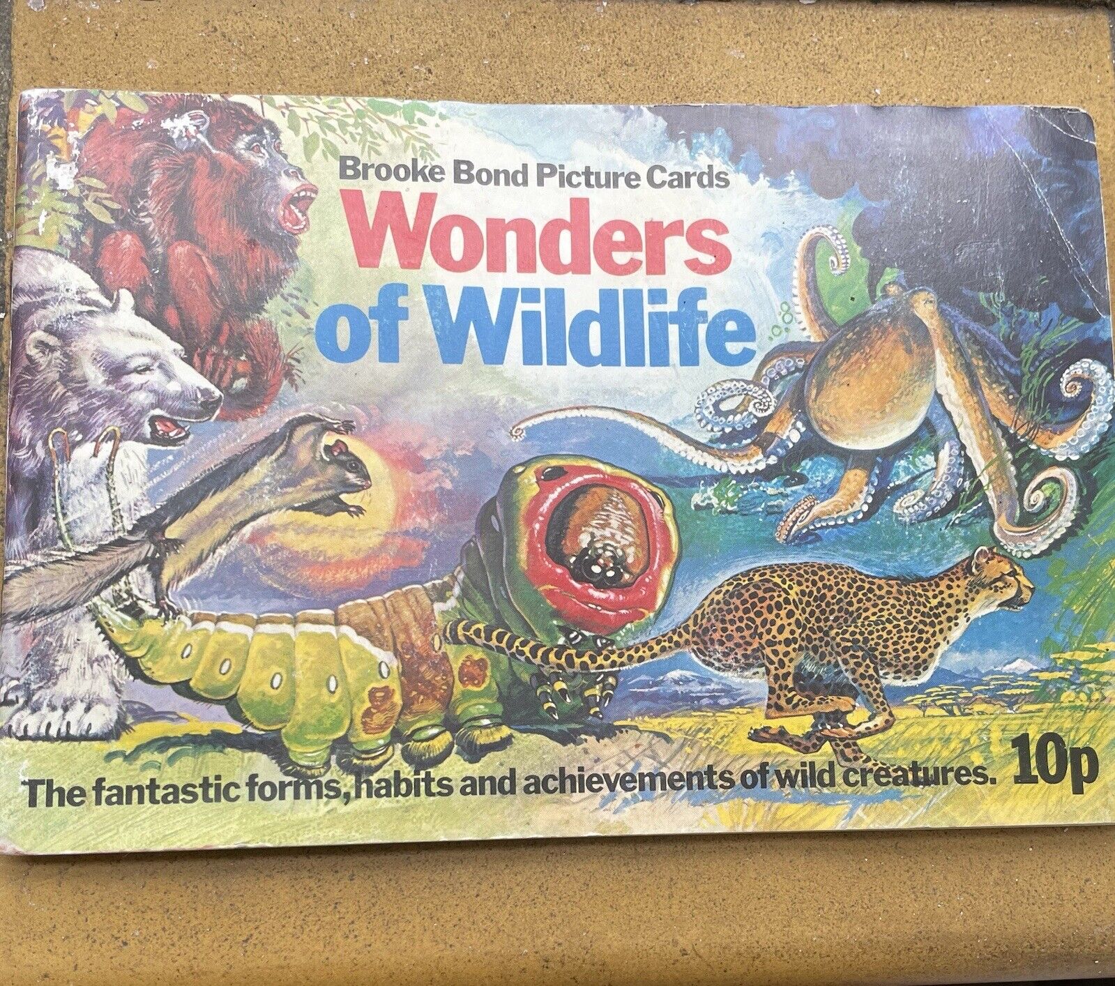 Brooke Bond teacards and album complete Wonders of Wildlife nov 1975