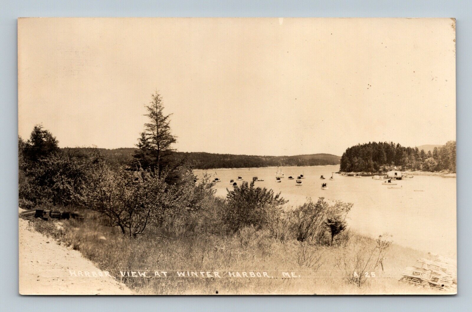Harbor View at Winter Harbor Maine Postcard